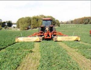 Cutting Alfalfa at Soaring Eagle Dairy