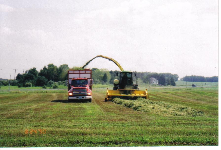 Chopping Alfalfa at Soaring Eagle Dairy