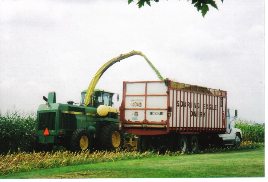 Chopping corn silage at Soaring Eagle Dairy